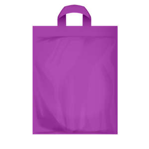Multiple Use Bag